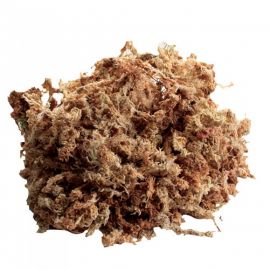 New Zealand Sphagnum Moss, 150 gram