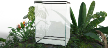 Tropische of regenwoud terrarium
